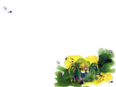 Cliquez pour voir l'image en taille relle
