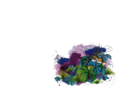 Cliquez pour voir l'image en taille relle